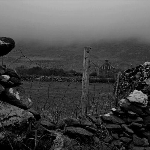 Brume et muret