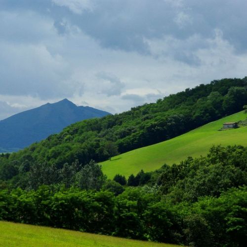 Collines basques