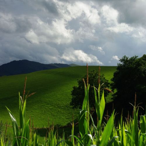 Pays Basque