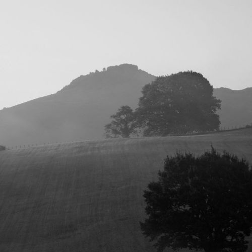 Brume sur Piniodeta