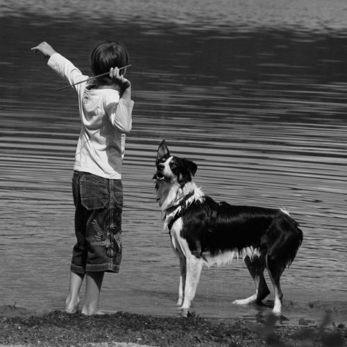 Complicité entre l'enfant et le chien