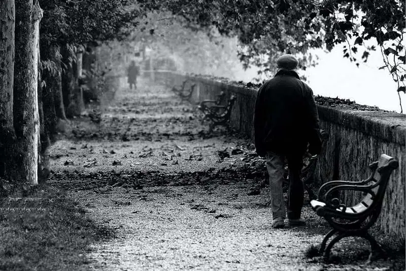 Le vieux monsieur