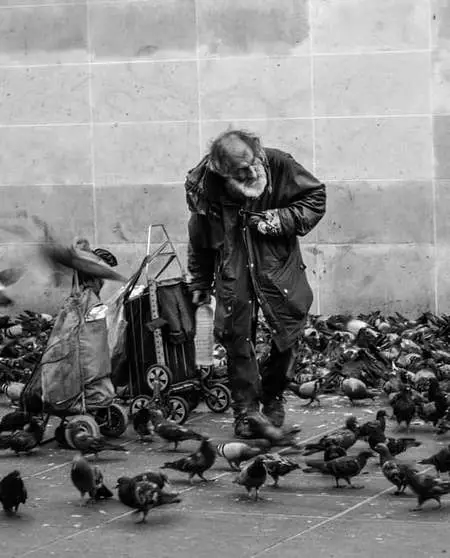 Un clochard au milieu des pigeons